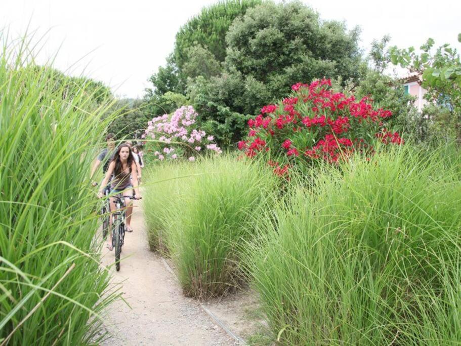 Les Restanques Bougainvillee 2051 Grimaud Esterno foto