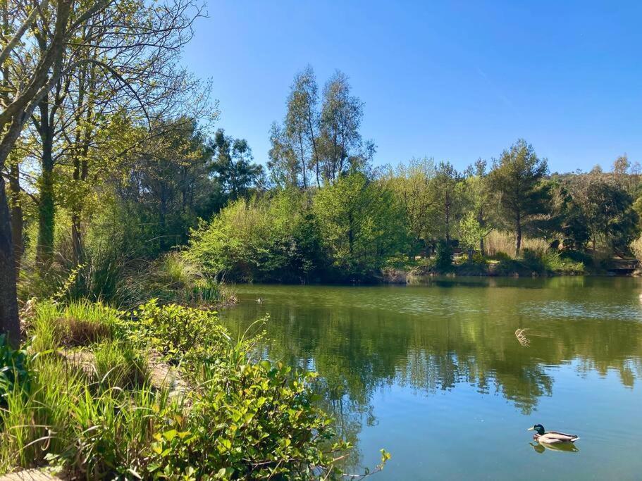 Les Restanques Bougainvillee 2051 Grimaud Esterno foto
